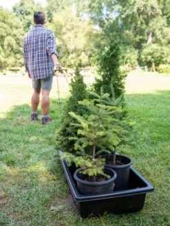 Gardener's Summer Sled And Cover -Optimal Garden Care 8611044 229 tif