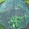 GardenSkill Pop N Crop Plant Umbrella -Optimal Garden Care 8611105 01V tif