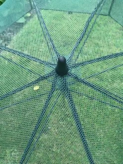 GardenSkill Pop N Crop Plant Umbrella -Optimal Garden Care 8611105 07V tif