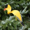Florida Dancing Birds®, Songbirds -Optimal Garden Care 8611629 03v florida dancing birds songbirds