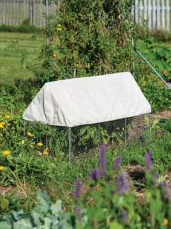 Crop Coop Covers Set 8 Crop Coop Covers Set -Optimal Garden Care 8611698 004 tif