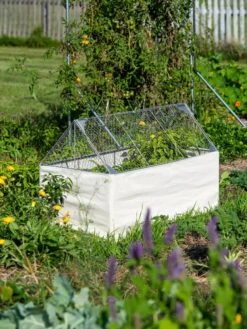 Crop Coop Covers Set 9 Crop Coop Covers Set -Optimal Garden Care 8611698 005 tif