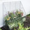 Chicken Wire Flat Back Crop Coop -Optimal Garden Care 8611701 142 tif