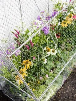 Chicken Wire Flat Back Crop Coop -Optimal Garden Care 8611701 153 tif
