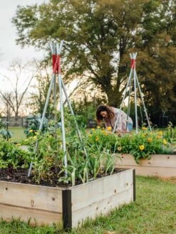 DIY Connector For Teepee Trellis -Optimal Garden Care 8611896 38 tif