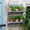 VegTrug® Herb Rack -Optimal Garden Care 8611930 6402 tif