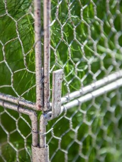 Chicken Wire Crop Coop Extension -Optimal Garden Care 8611940 232 tif