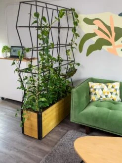 Self-Watering Partition Planter -Optimal Garden Care 8611952 001 tif