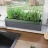 Provence Self-Watering Herb Planter 2 Provence Self-Watering Herb Planter -Optimal Garden Care 8611965 01V tif
