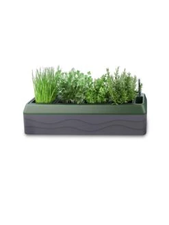 Provence Self-Watering Herb Planter -Optimal Garden Care 8611965 03V tif