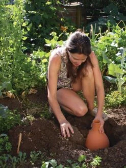 Hydro Max Watering System 11 Hydro Max Watering System -Optimal Garden Care 8611967 15V tif