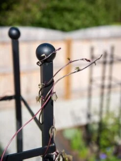 Essex Square Obelisk -Optimal Garden Care 8611984 278 tif