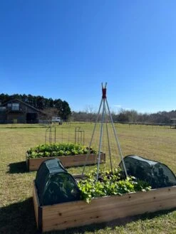 Insect And Pest Net Row Protector -Optimal Garden Care 8611985 04 tif