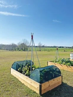 Insect And Pest Net Row Protector -Optimal Garden Care 8611985 10 tif