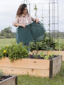 Insect And Pest Net Row Protector -Optimal Garden Care 8611985 8389 tif