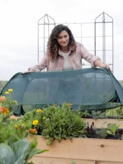 Insect And Pest Net Row Protector -Optimal Garden Care 8611985 8390 tif