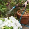 Indoor Outdoor Plant Sprayers -Optimal Garden Care 8611993 029 tif