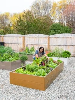 Somerset Metal Raised Beds, As Is 20 Somerset Metal Raised Beds, As Is -Optimal Garden Care 8612020 0014 tif