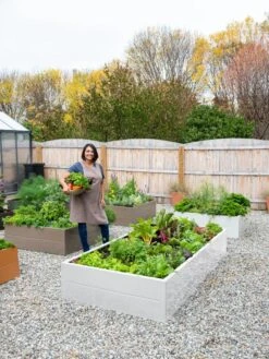 Somerset Metal Raised Beds, As Is 18 Somerset Metal Raised Beds, As Is -Optimal Garden Care 8612020 0016 tif