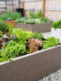 Somerset Metal Raised Beds, As Is 22 Somerset Metal Raised Beds, As Is -Optimal Garden Care 8612020 002 tif