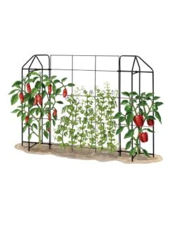 Zenith Trellis -Optimal Garden Care 8612035 art tif