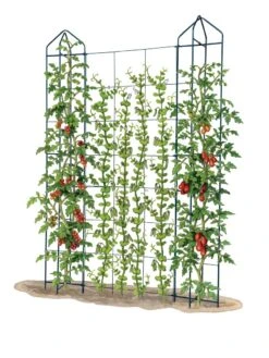 Zenith Trellis -Optimal Garden Care 8612036 art tif