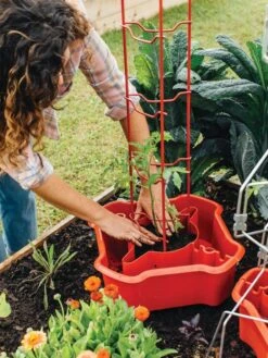 Deluxe Tomato Halos, Set Of 2 -Optimal Garden Care 8612045 135 tif