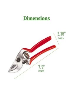 Castellari Mini Anvil Pruner 15 Castellari Mini Anvil Pruner -Optimal Garden Care 8612199 2