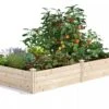 Pine Raised Garden Beds, 4'x8' -Optimal Garden Care 8612238 02V jpg