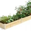 Pine Raised Garden Bed, 2' X 8' -Optimal Garden Care 8612244 02V jpg