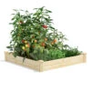 Pine Raised Garden Beds, 4'x4' -Optimal Garden Care 8612249 02v pine raised garden bed 4x4 feet