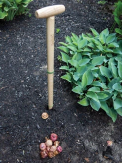 Wicked Big Dibber -Optimal Garden Care 8612667 0028