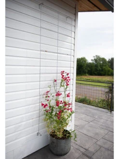 Chicken Wire Wall Trellis 16 Chicken Wire Wall Trellis -Optimal Garden Care 8612717 0081