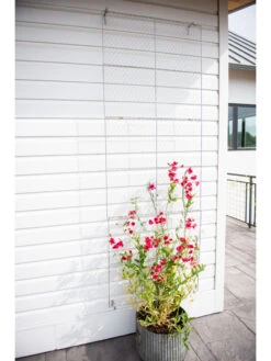 Chicken Wire Wall Trellis 15 Chicken Wire Wall Trellis -Optimal Garden Care 8612717 0093