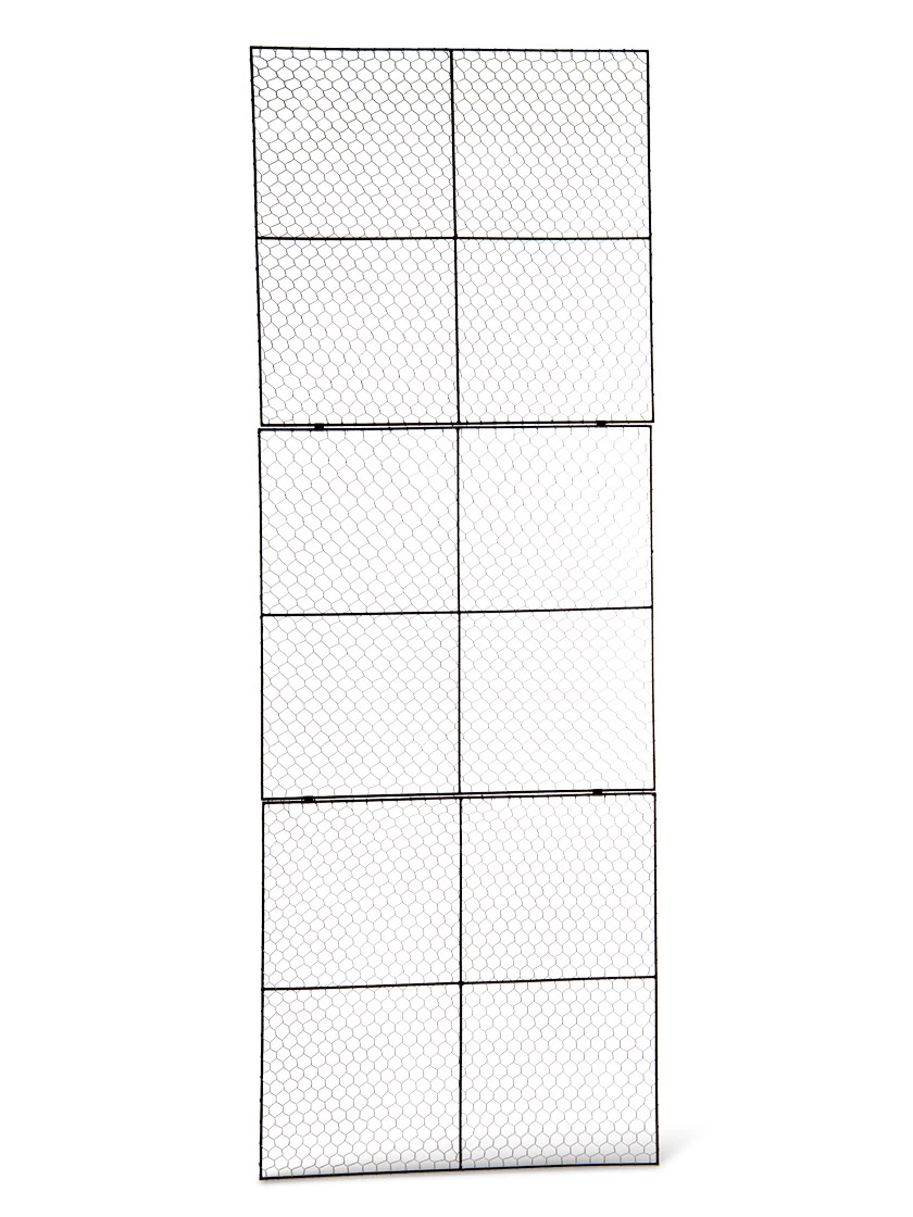 Chicken Wire Wall Trellis 4 Chicken Wire Wall Trellis - Image 2