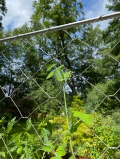 Chicken Wire Pea Trellis -Optimal Garden Care 8612718 7311