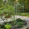 Chicken Wire Pea Trellis -Optimal Garden Care 8612718 7313 chicken wire pea trellis
