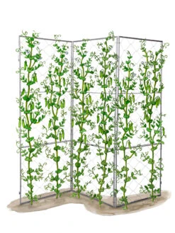 Chicken Wire Pea Trellis -Optimal Garden Care 8612718 peatrellis art chicken wire pea trellis