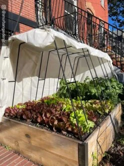 Cotton All Purpose Garden Cover -Optimal Garden Care 8612816 01CUST