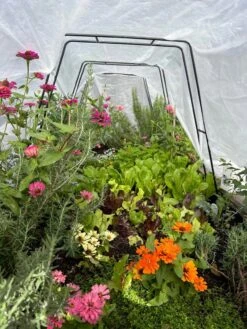 All-Purpose Garden Fabric -Optimal Garden Care 8612816 01TEST