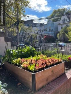 Zenith Garden Hoops, Set Of 4 -Optimal Garden Care 8612816 02CUST