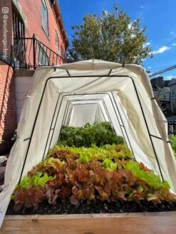 Cotton All Purpose Garden Cover -Optimal Garden Care 8612816 03CUST