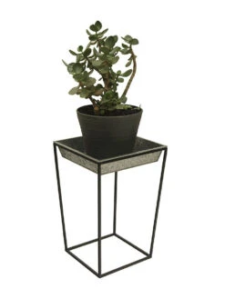 Achla Designs Arne Plant Stand -Optimal Garden Care 8612899 03v