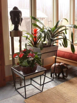 Achla Designs Arne Plant Stand -Optimal Garden Care 8612900 03v