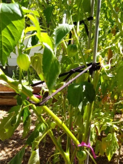 Farmyarn® Multipurpose Garden Tie, 2 Pack -Optimal Garden Care 8612948 02v