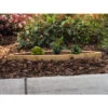 Wine Barrel Succulent Planter -Optimal Garden Care 8613034 01v