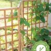 Bamboo Zig-Zag Trellis 24" X 36" -Optimal Garden Care 8613151 15