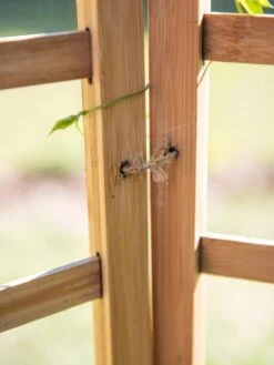 Bamboo Zig-Zag Trellis 24" X 36" -Optimal Garden Care 8613151 6483