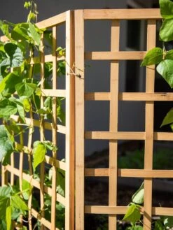 Bamboo Zig-Zag Trellis 24" X 36" -Optimal Garden Care 8613151 6491