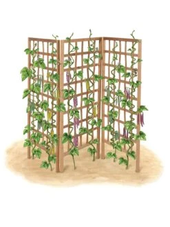 Bamboo Zig-Zag Trellis 24" X 36" -Optimal Garden Care 8613151 art flat